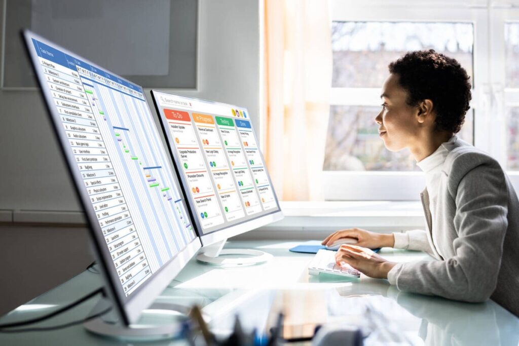 Functions and Processes of Project Management